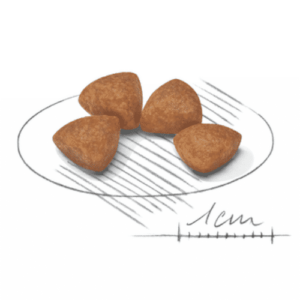 Royal Canin X Small Puppy - Foto 1 | AlanDog