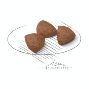 Royal Canin Medium Starter Mother and BabyDog - Foto 1 | AlanDog