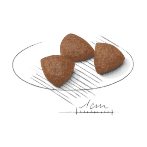 Royal Canin Medium Starter Mother and BabyDog - Foto 1 | AlanDog