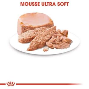 Royal Canin Starter Mousse - Foto 1 | AlanDog