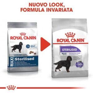 Royal Canin CCN Maxi Sterilised - Foto 1 | AlanDog