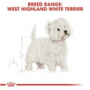 royal_canin_west_highland_white_terrier