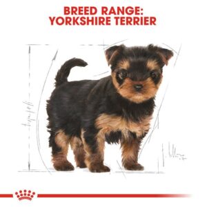 royal_canin_yorkshire_puppy