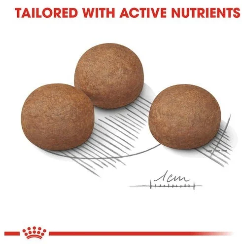secco_maxi_digestive_care_secco_royal_canin