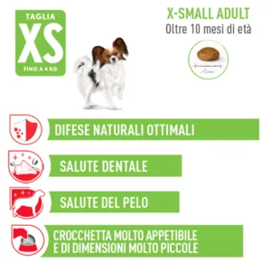 Royal Canin X-Small Adult - Foto 2 | AlanDog