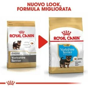 Royal Canin BHN Yorkshire Puppy - Foto 3 | AlanDog