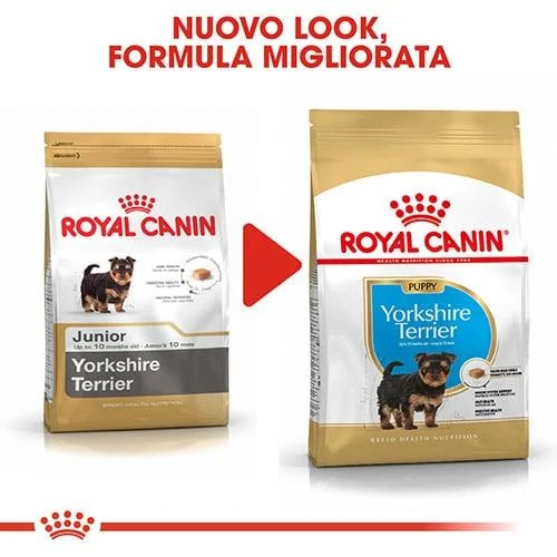 Royal Canin BHN Yorkshire Puppy - Foto 3 | AlanDog