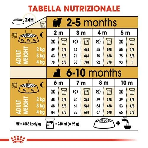 Royal Canin BHN Yorkshire Puppy - Foto 1 | AlanDog