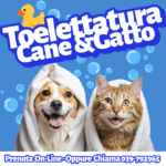 Prenota e Acquista la tua Toelettatura