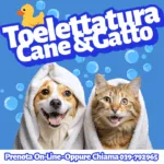 Prenota e Acquista la tua Toelettatura