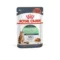 Royal Canin FCN wet Care Gatto Digestive Bustine Umido | AlanDog