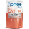 salmone - kitten