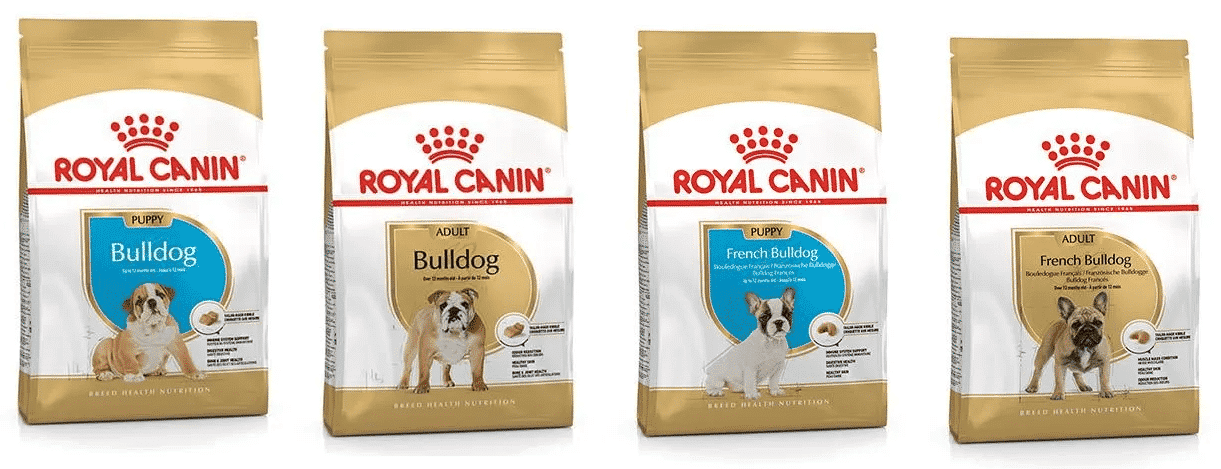 bulldog-puppy-adult-royal-canin
