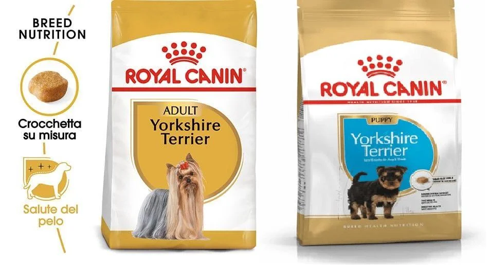 Yorkshire Terrier 5 royal-canin-terrier-yorkshire