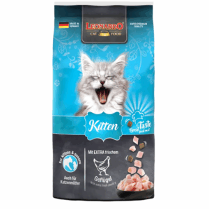 Leonardo Kitten - Foto 1 | AlanDog