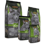 Leonardo Adult Agnello