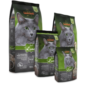 Leonardo Adult Agnello