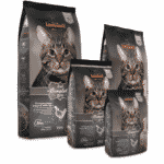 Leonardo Adult Complete 32/16