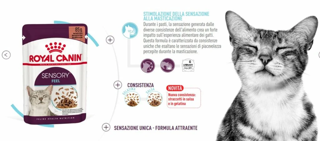 Royal Canin FHN WET Sensory Feel Gatto