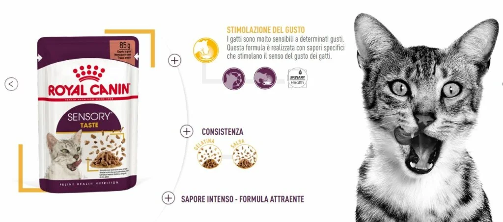 Royal Canin FHN WET Sensory Taste Gatto