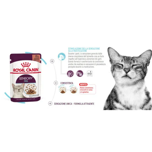 Royal Canin FHN WET Sensory Feel Gatto - Foto 3 | AlanDog