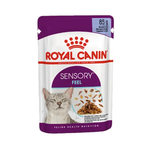 Royal Canin FHN WET Sensory Feel Gatto - Foto 1 | AlanDog