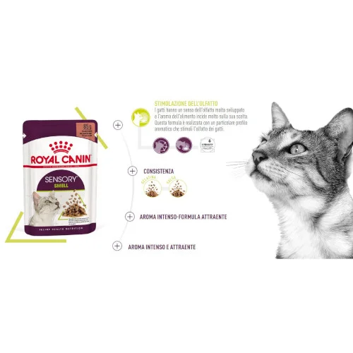 Royal Canin FHN WET Sensory Smell Gatto - Foto 3 | AlanDog