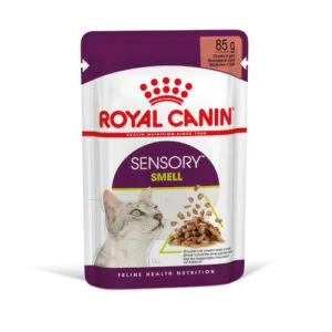 Royal Canin FHN WET Sensory Smell Gatto | AlanDog