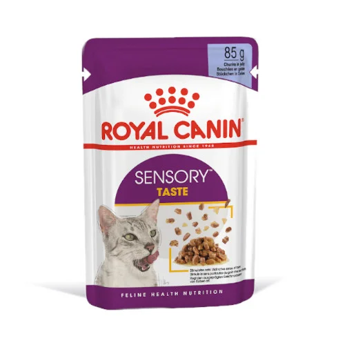 Royal Canin FHN WET Sensory Taste Gatto - Foto 2 | AlanDog