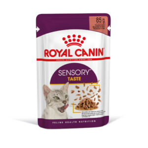 Royal Canin FHN WET Sensory Taste Gatto