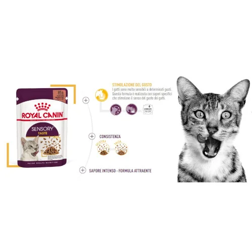 Royal Canin FHN WET Sensory Taste Gatto - Foto 3 | AlanDog