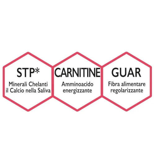 Unica Natura Gemma – Stelline con Frutti Rossi e Ginseng – Snack Senza Glutine - Gheda pet food - Foto 4 | AlanDog