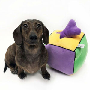 Dog-Cube-Peluche-Toy-Bones-visual