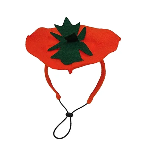 Dog Pumpkin Headband Halloween Costume - MIDLEE - Foto 2 | AlanDog