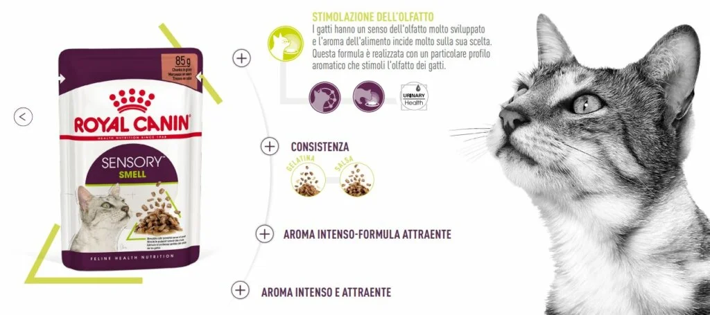 Royal Canin FHN WET Sensory Smell Gatto
