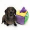Plush Find a Bone Cube Dog Toy - MIDLEE | AlanDog