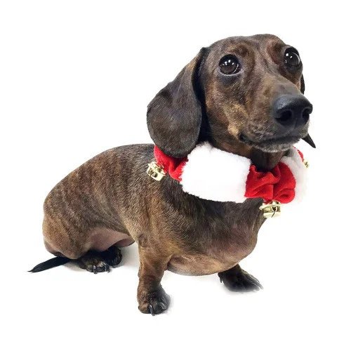 Collare di Natale morbido Rosso e Bianco con Campanellini - MIDLEE - Foto 1 | AlanDog