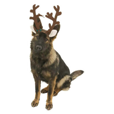 Brown Reindeer Dog Antlers Headband with Jingle Bell visual