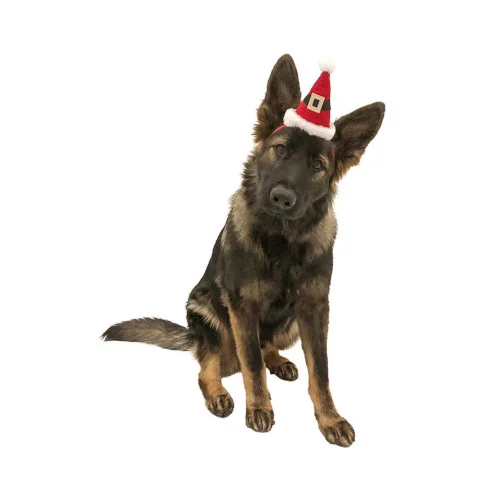 Cappello da Babbo Natale per cani di taglia grande - MIDLEE - Foto 3 | AlanDog