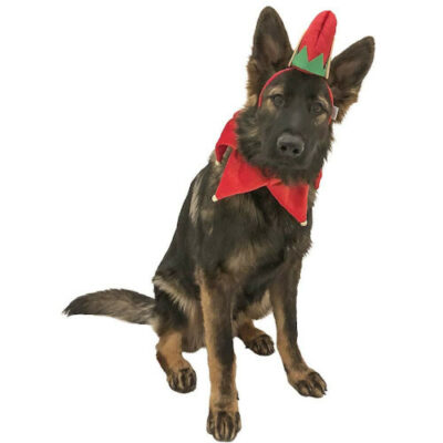 Elf Dog Hat with Bell Neck Band Dog Costume visual