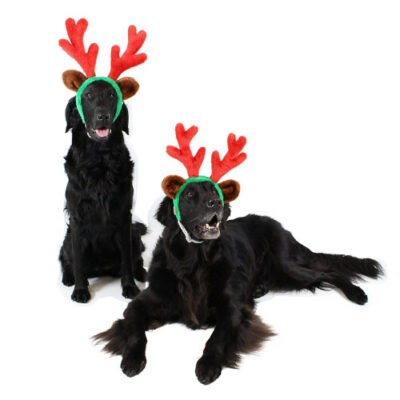 Midlee Christmas Reindeer Antlers with Ears for Large Dogs visual