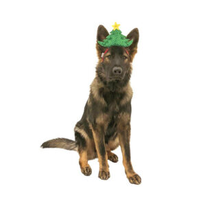 christmas tree dog headband esempio