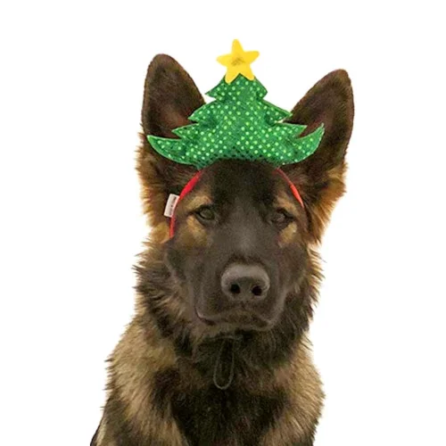 Cappello Natalizio con Albero di Natale - MIDLEE - Foto 1 | AlanDog