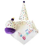 Kit di accessori compleanno per cani