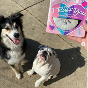 I Ruff You Pup-PIE – Torta per Cani - Lazy Dog Cookies - Foto 1 | AlanDog