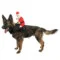 Costume da Babbo Natale per Cani - MIDLEE | AlanDog