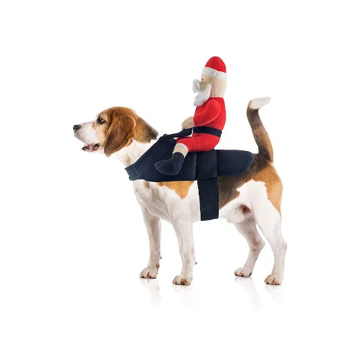 Costume da Babbo Natale per Cani - MIDLEE - Foto 4 | AlanDog