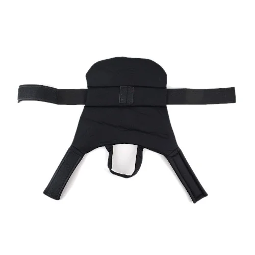 Costume da Babbo Natale per Cani - MIDLEE - Foto 1 | AlanDog