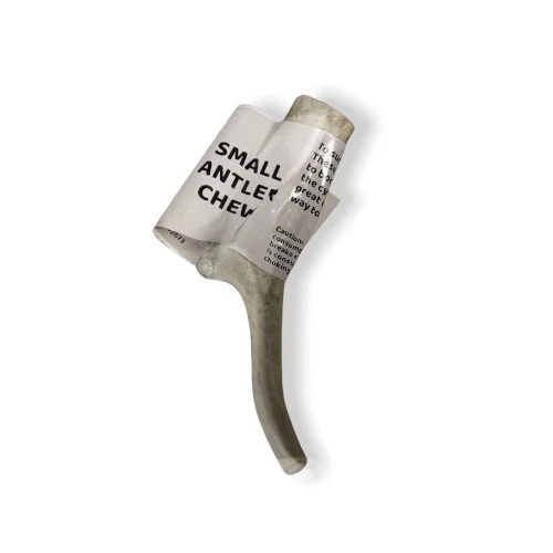 Corna Di Renna da masticare – Small - Bark Appeal Pet Product - Foto 1 | AlanDog
