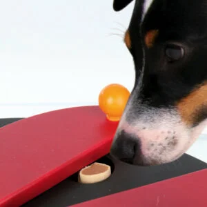 Trixie Push Away Gioco strategico Dog Activity - Foto 3 | AlanDog